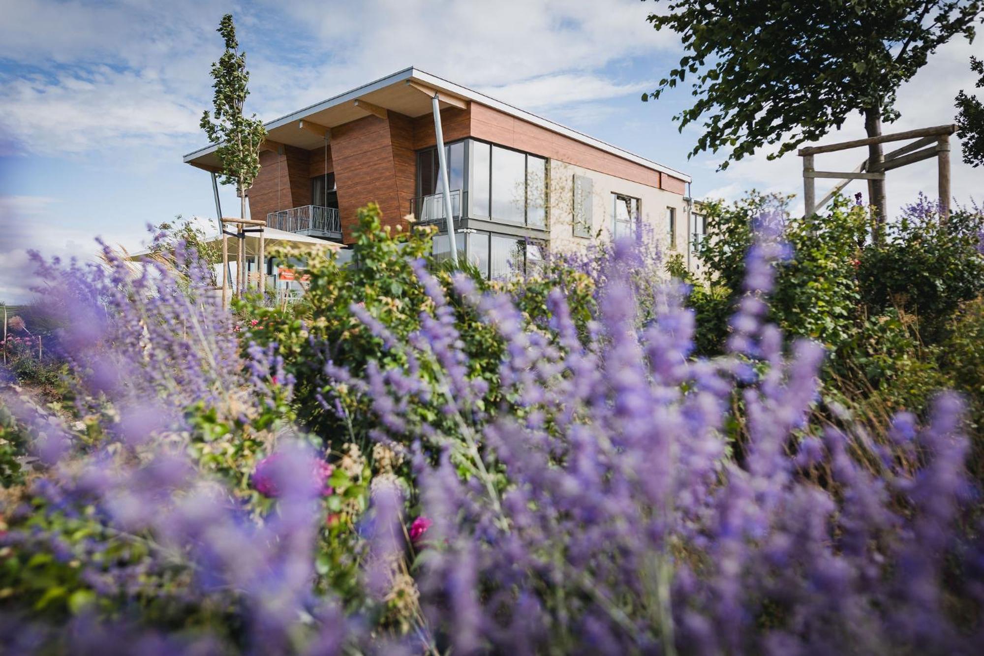 Mommenheim Weinzuhause Hotel-Restaurant-Vinothek מראה חיצוני תמונה