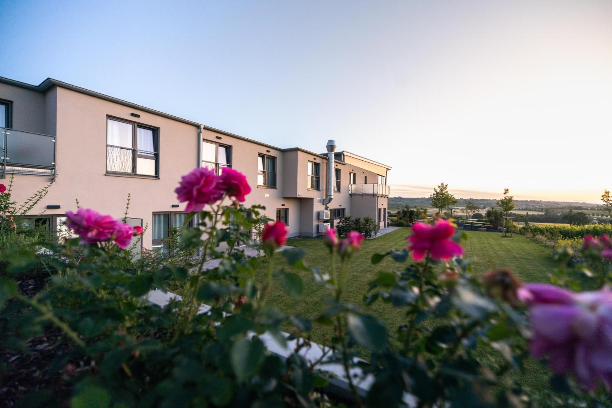 Mommenheim Weinzuhause Hotel-Restaurant-Vinothek מראה חיצוני תמונה